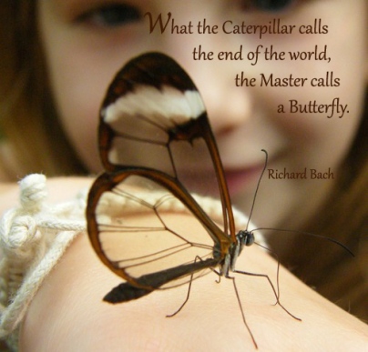 RB quote - butterfly